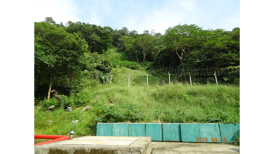 崩塌山坡，經過多年的掛網植生努力，已經復原成綠油油的山坡。